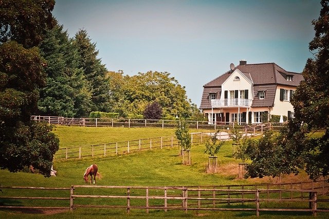 Beautiful Home with meadow