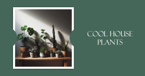 14 Cool House Plants That Will Make Your Home More Stylish and Healthy