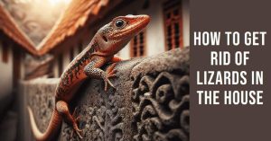 How to Get Rid of Lizards in the House: 19 Effective and Natural Methods