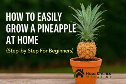 How To Grow A Pineapple At Home – Simple Steps For Sweet Results!