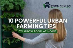 10 Powerful Urban Farming Tips to Grow Food at Home (Even with Limited Space) 1 10 Powerful Urban Farming Tips to Grow Food at Home (Even with Limited Space)