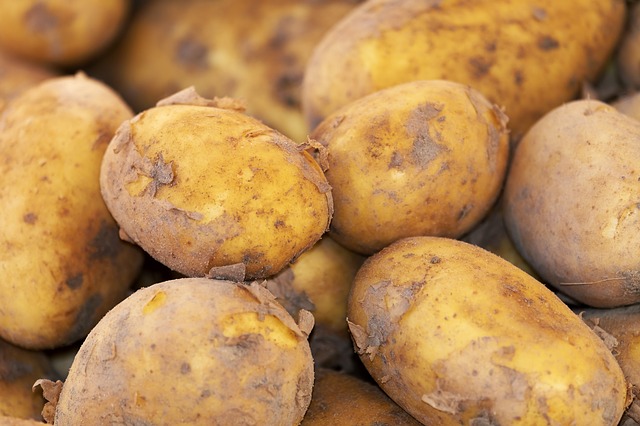 Foods that should not be stored in the refrigerator - potato