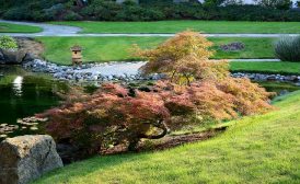 6 Japanese Style Garden Elements