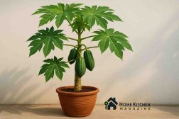Growing Papaya in a Pot: Complete Guide for Healthy Container Papaya Trees 1 Growing Papaya in a Pot: Complete Guide for Healthy Container Papaya Trees