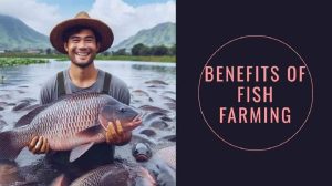 Benefits Of Fish Farming