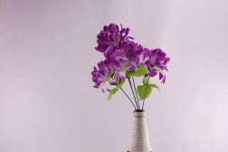 4 Easy Tips – How To Make Flower Pot Using Bottle