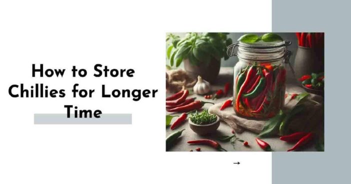How to Store Chillies for Longer Time