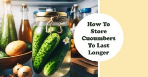 10 Easy Tips - How To Store Cucumbers To Last Longer 2 10 Easy Tips – How To Store Cucumbers To Last Longer