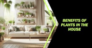 8 Amazing Benefits of Plants in The House That You Need to Know