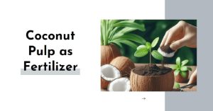 Unlock the Power of Coconut Pulp as Fertilizer for Lush & Thriving Gardens [How To Make & Use It]