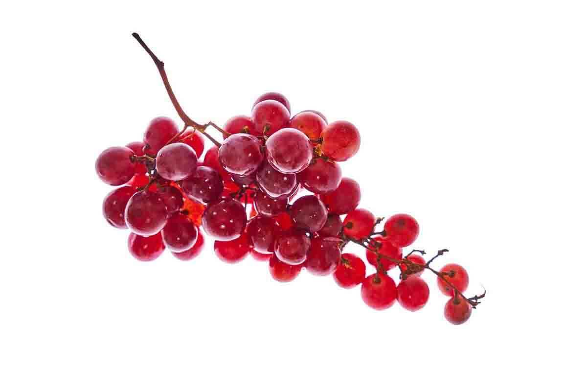 Health Benefits of Red Grapes