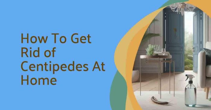 How To Get Rid of Centipedes At Home