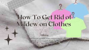 How To Get Rid of Mildew on Clothes: 8 Effective Natural Remedies and Expert Tips