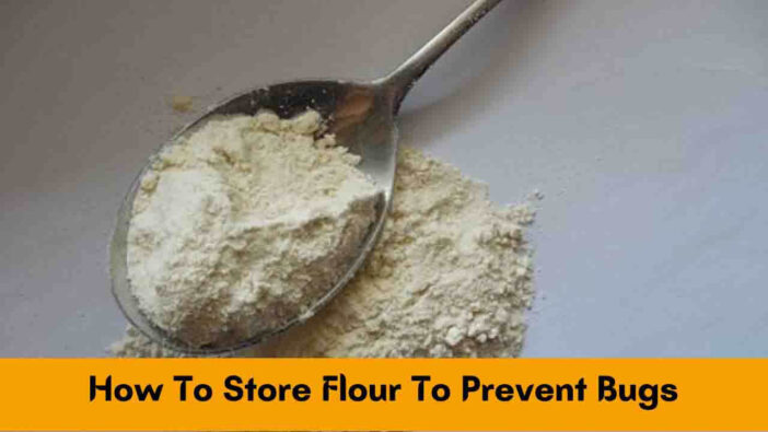 How To Store Flour To Prevent Bugs