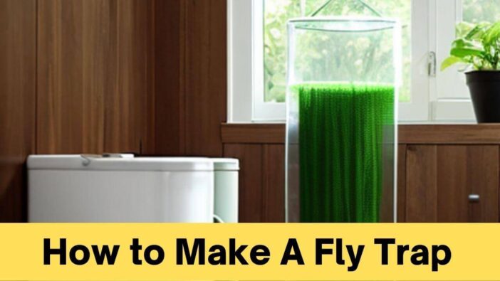 How to Make A Fly Trap
