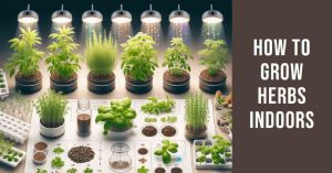 How to Grow Herbs Indoors in 3 Easy Steps: The Ultimate Guide for Home Gardeners 2 How to Grow Herbs Indoors in 3 Easy Steps: The Ultimate Guide for Home Gardeners