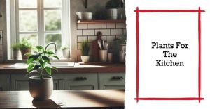 10 Best Plants for the Kitchen That Will Brighten Up Your Space