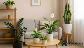 15 Best Indoor Plants for Low Light That Thrive in Any Room