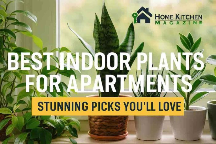 Best Indoor Plants for Apartments