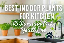 Best Indoor Plants for Kitchen: 15 Stunning Picks You’ll Love 4 Best Indoor Plants for Kitchen: 15 Stunning Picks You’ll Love