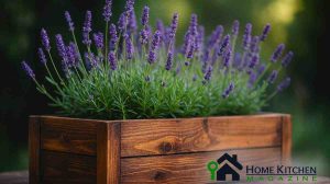 DIY Wooden Planter Box Tutorial