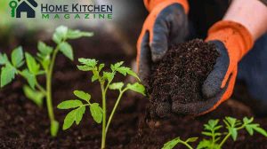 Organic Fertilizer for Vegetables