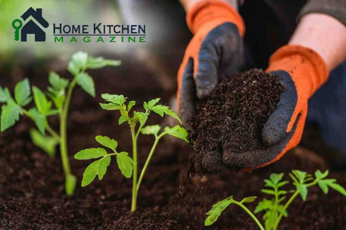 Organic Fertilizer for Vegetables